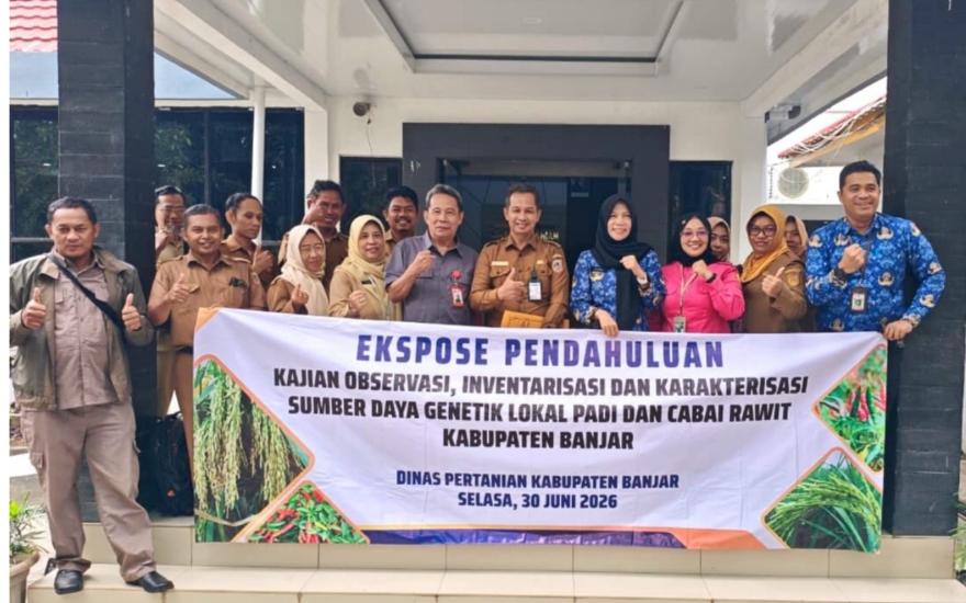 Cabai capat hingga Padi Unggul  Banjar siap didaftarkan sebagai varietas asli daerah