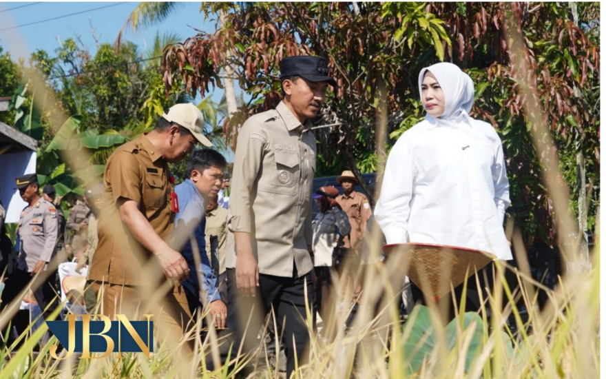 Bupati Banjar saksikan panen padi: Pertanian tetap jadi lumbung utama Kalsel