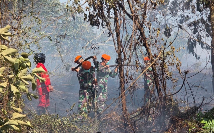 Bahu membahu TNI dan BNPB jinakkan kobaran api di Dusun Sidomulyo