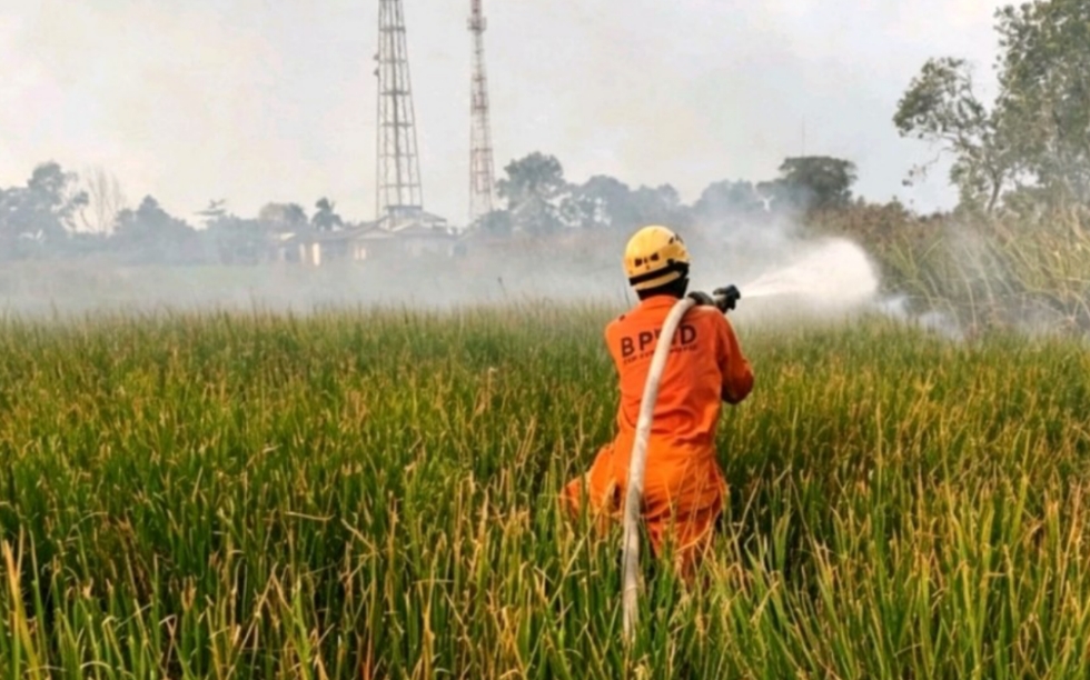 Lahan kosong dekat perumahan di Sungai Tabuk terbakar, api hanguskan semak belukar