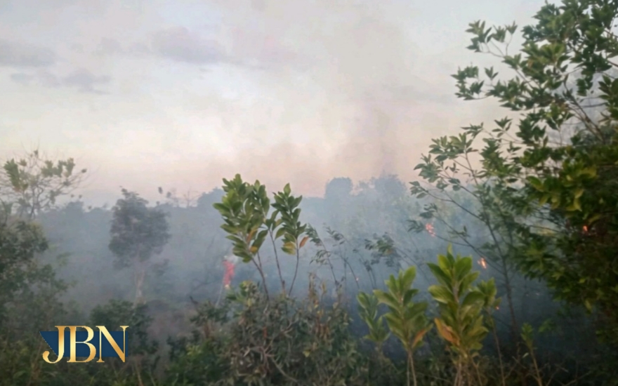 Satgas gabungan berhasil padamkan Karhutla di Desa Tambak Padi meski sulit sumber air